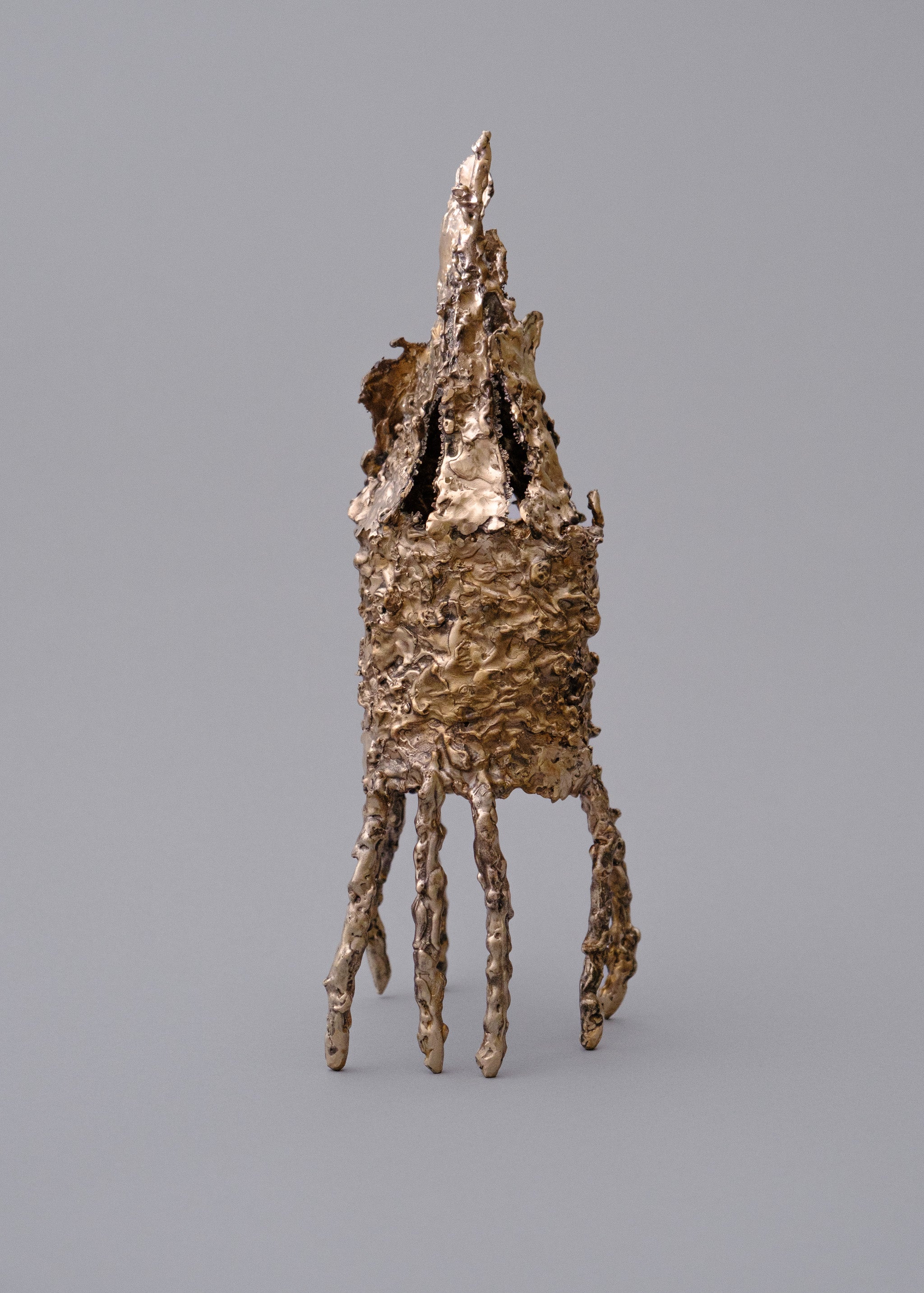 Stick Bug House