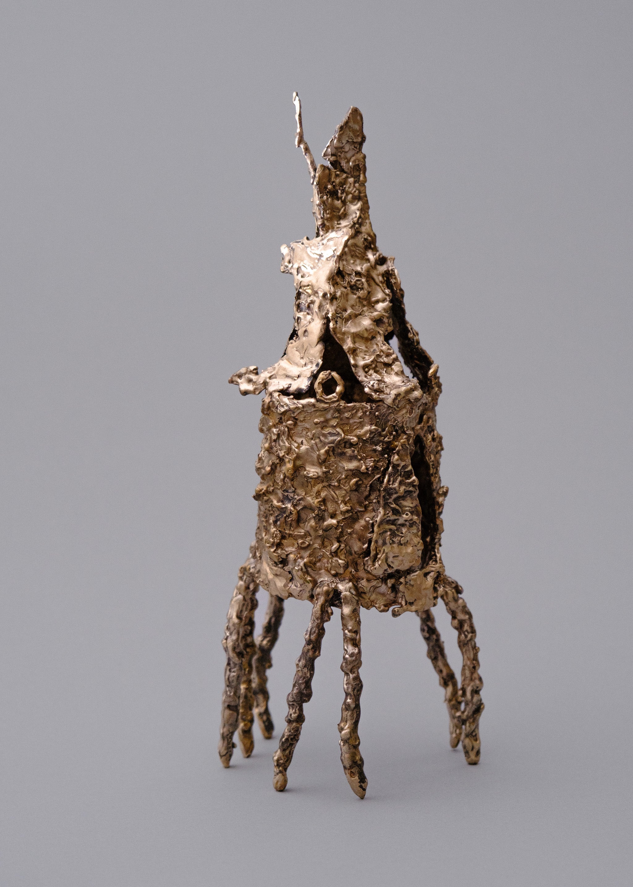 Stick Bug House