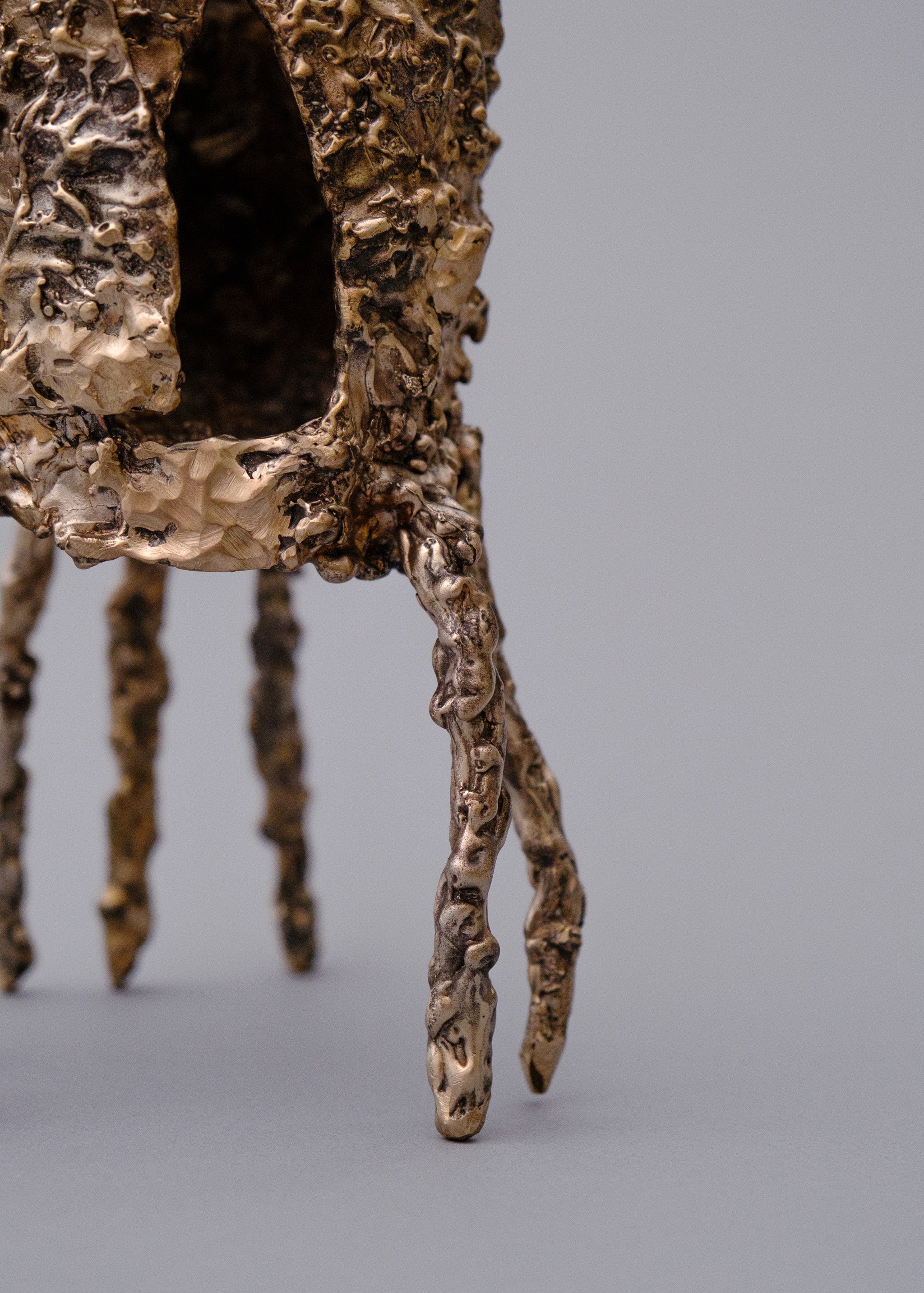 Stick Bug House