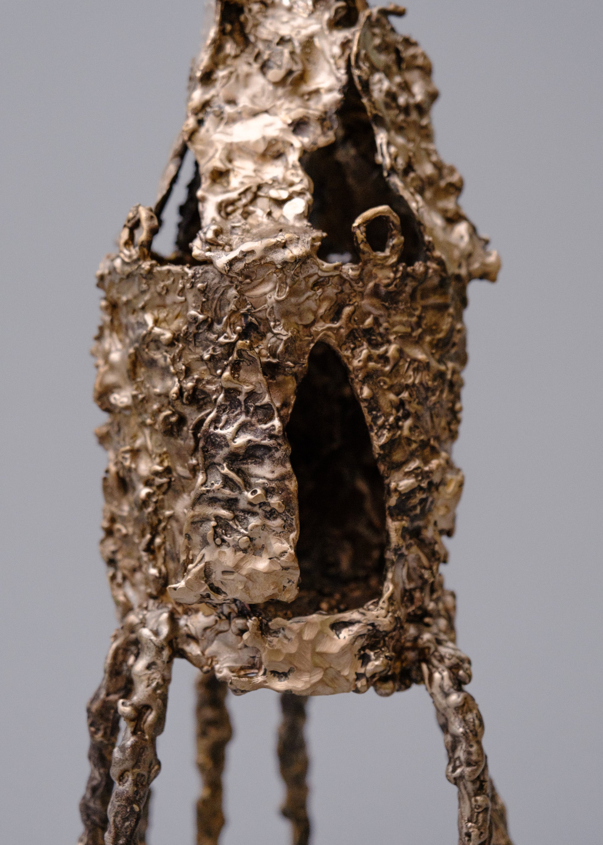 Stick Bug House