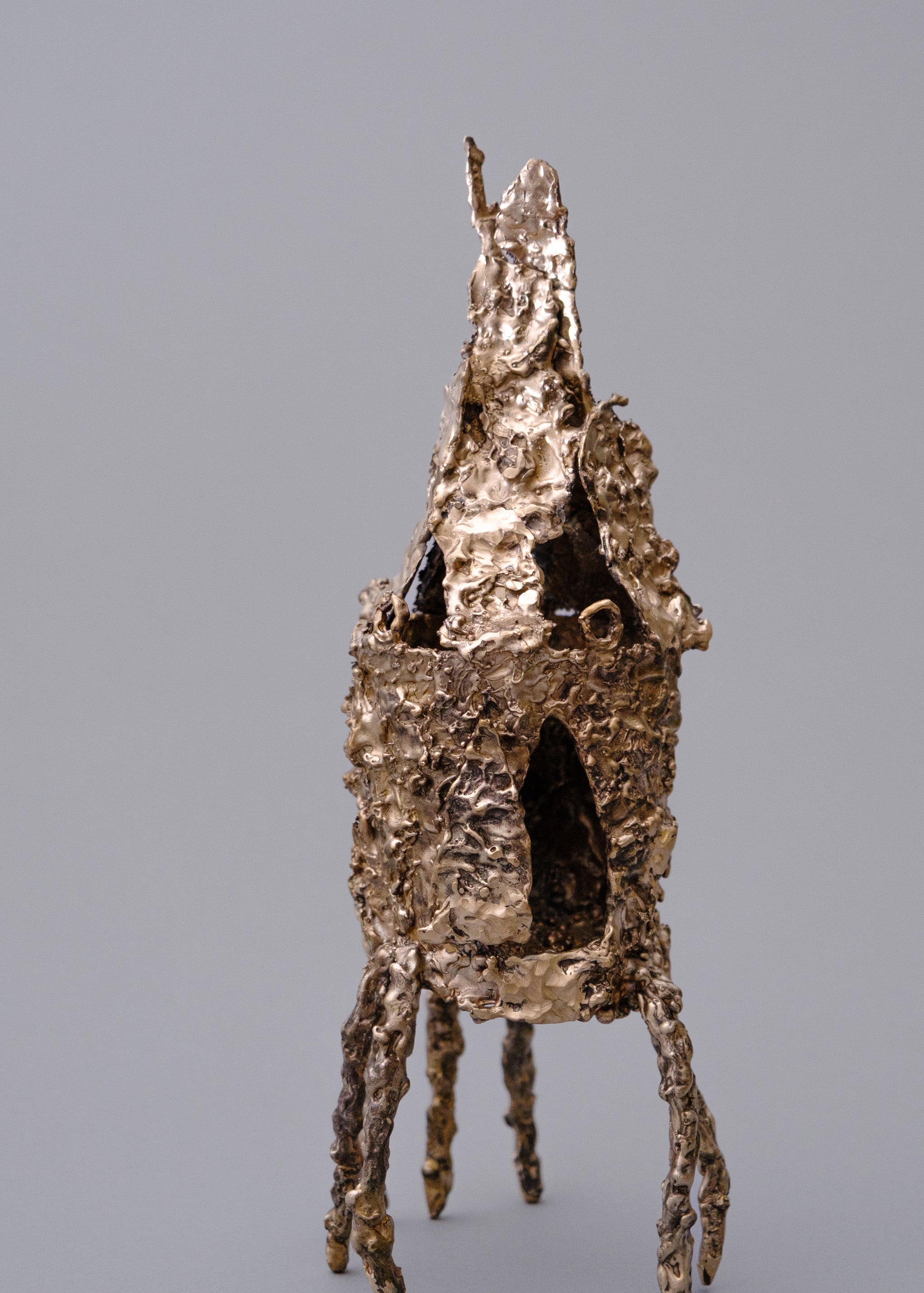 Stick Bug House