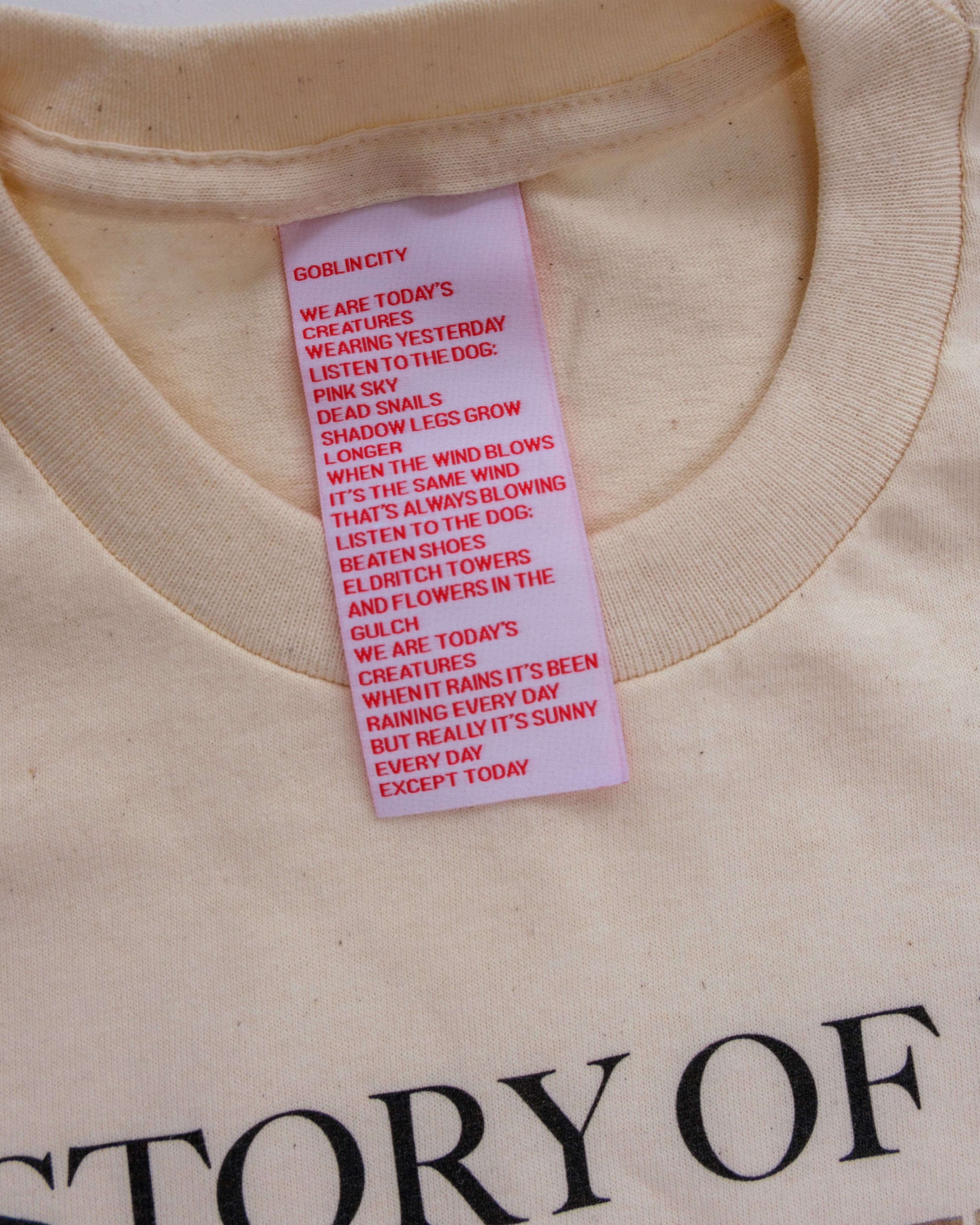 Goblin City Bookshirt