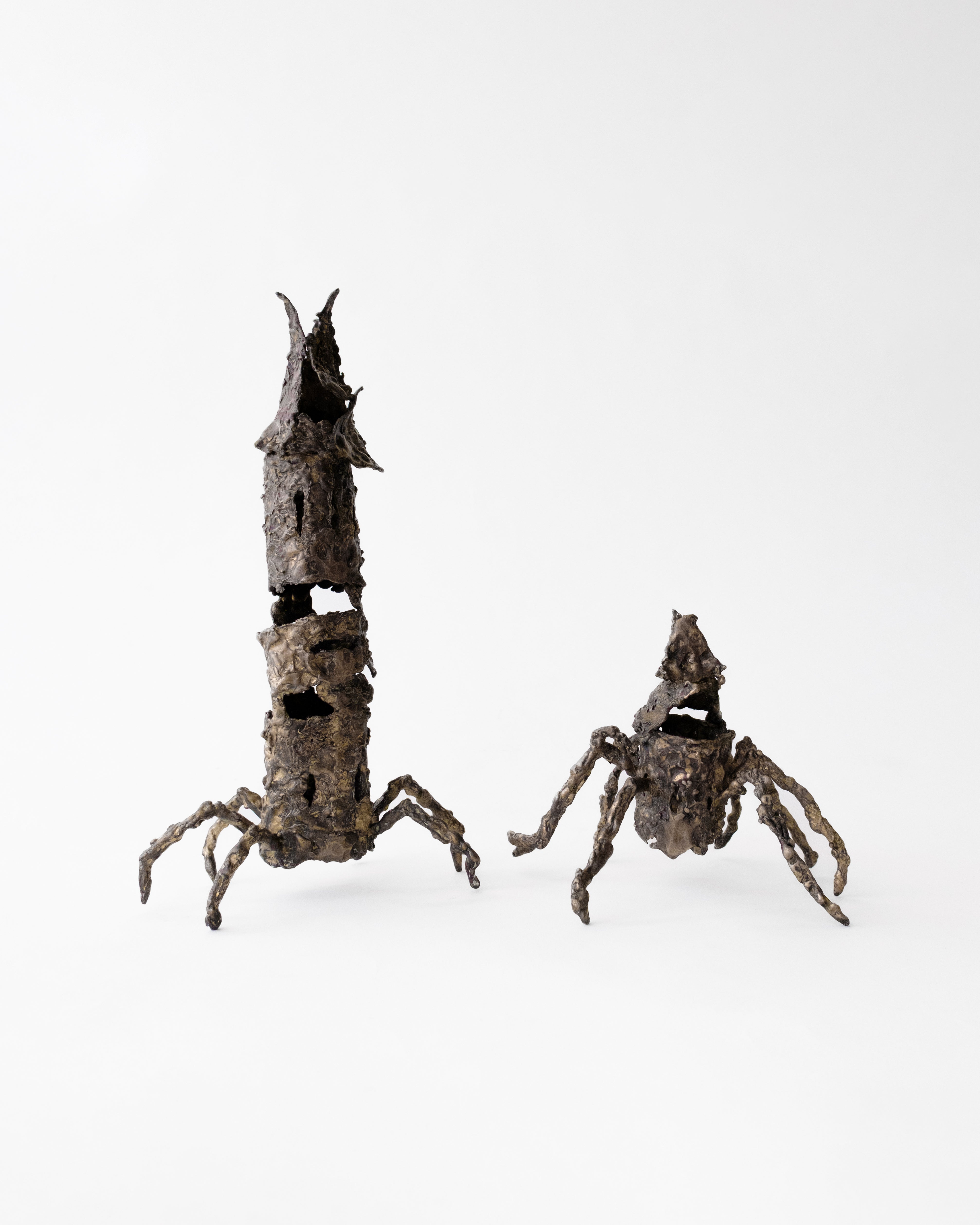 House Spider