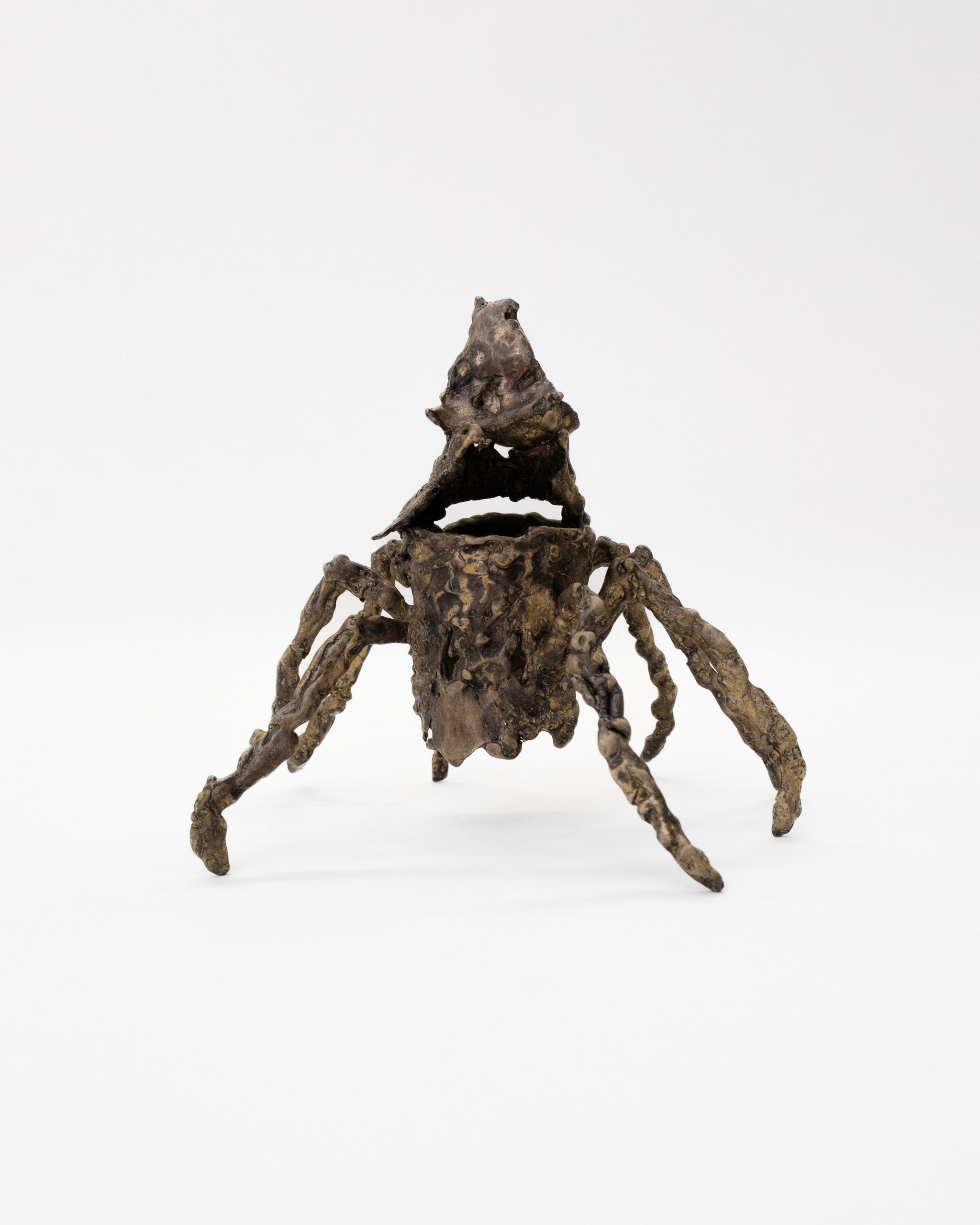 House Spider