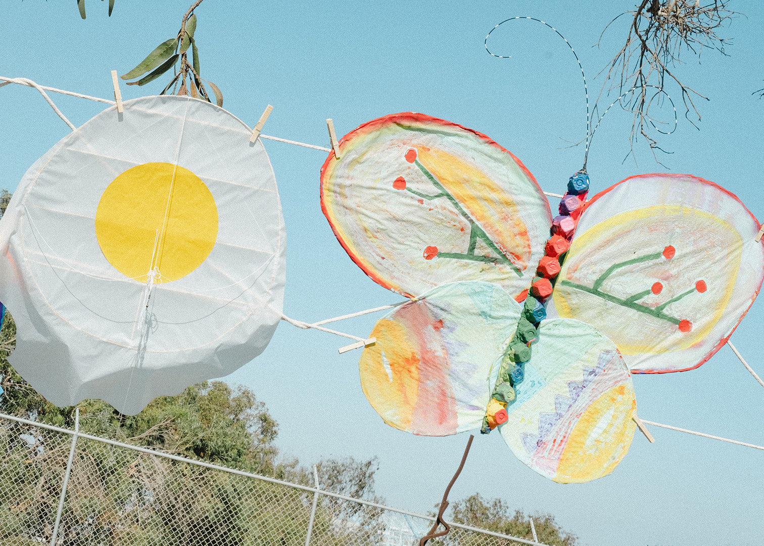 Kite Show