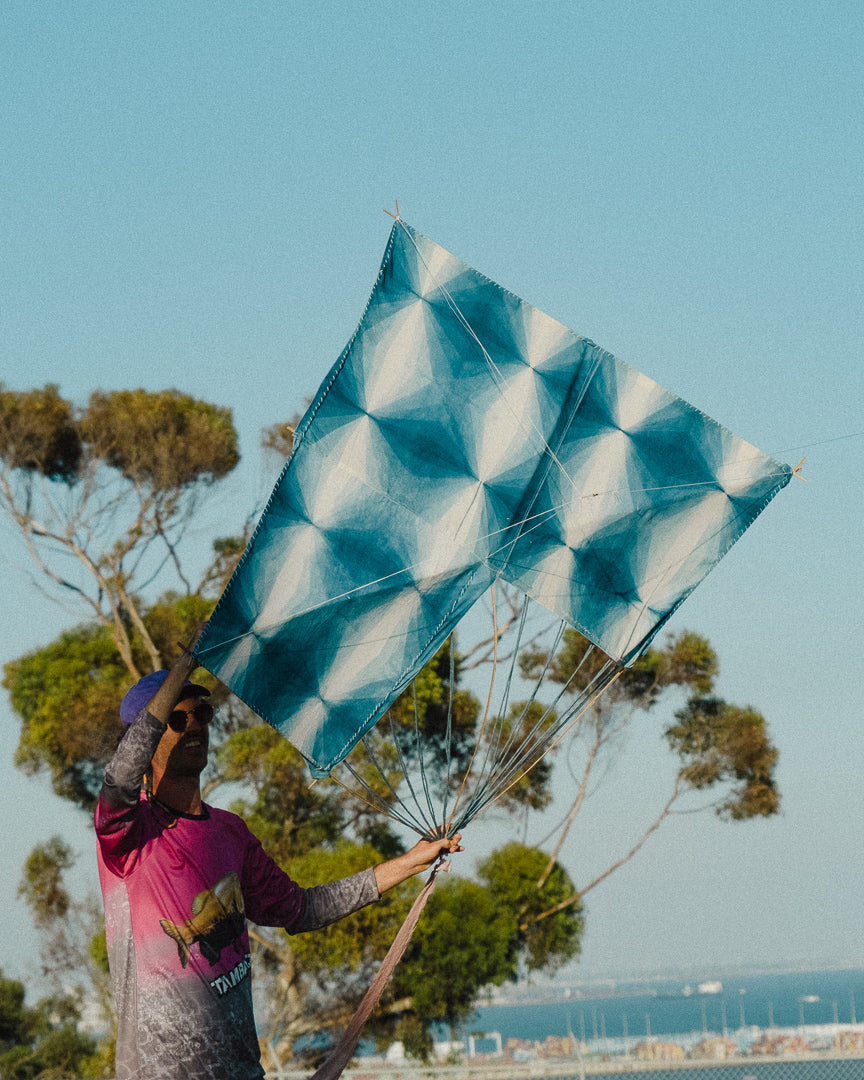 Kite Show