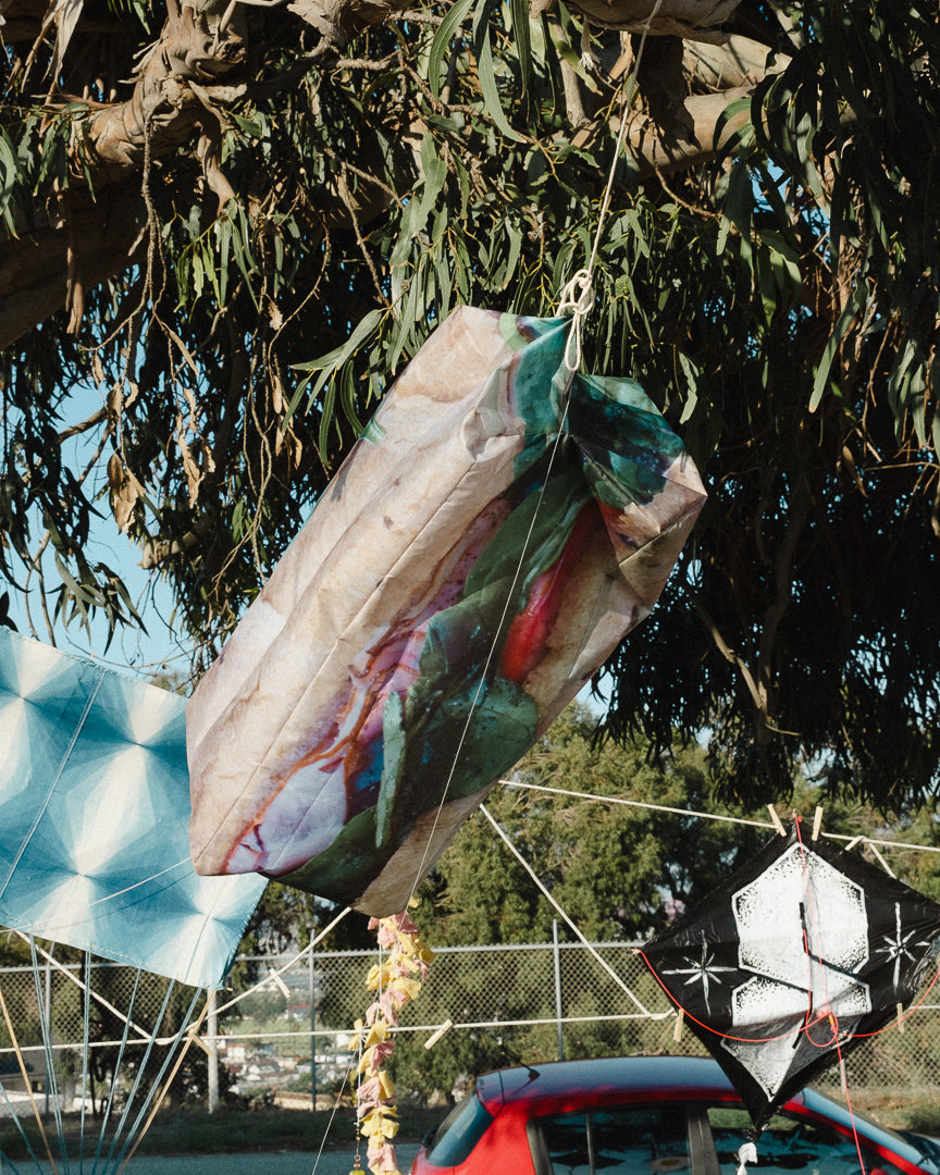 Kite Show