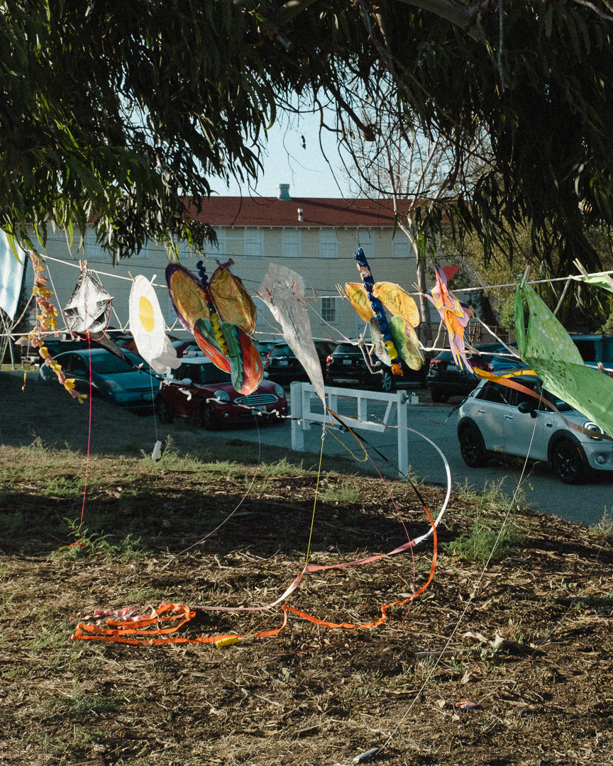 Kite Show