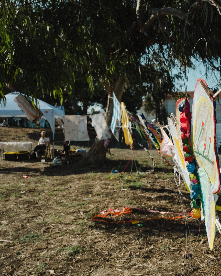 Kite Show
