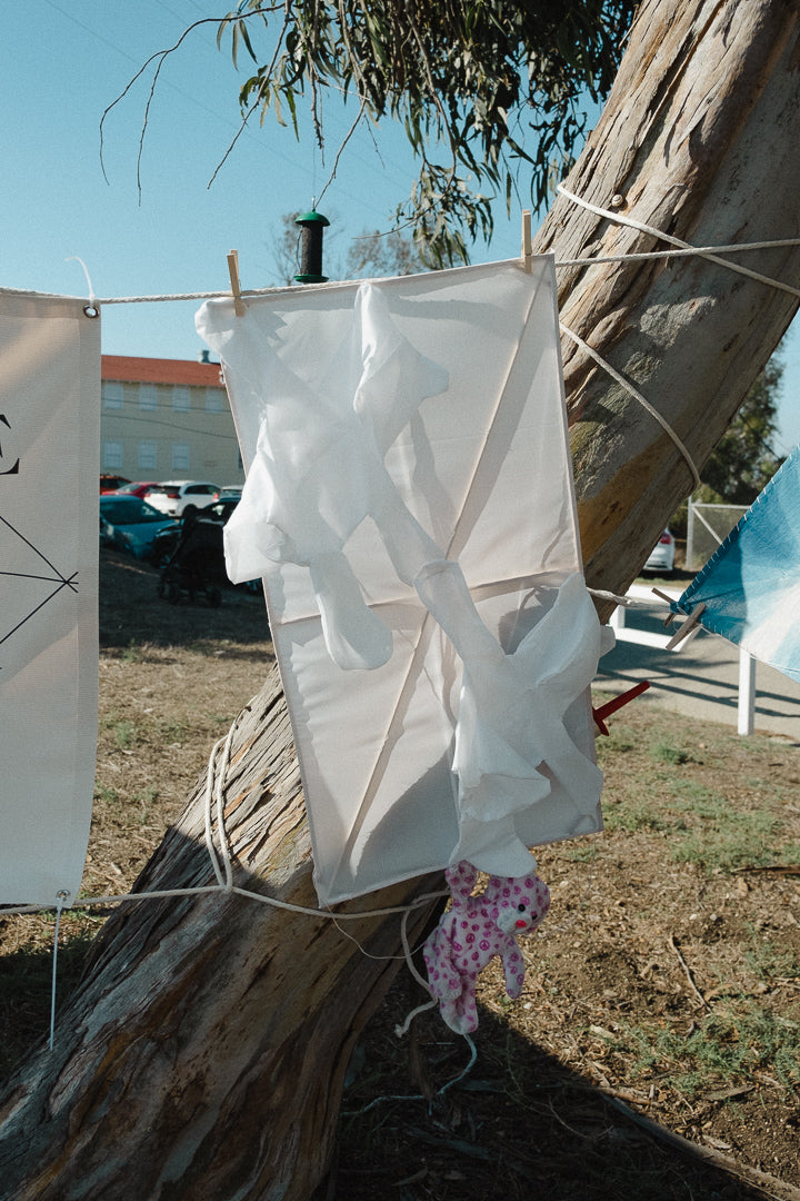 Kite Show