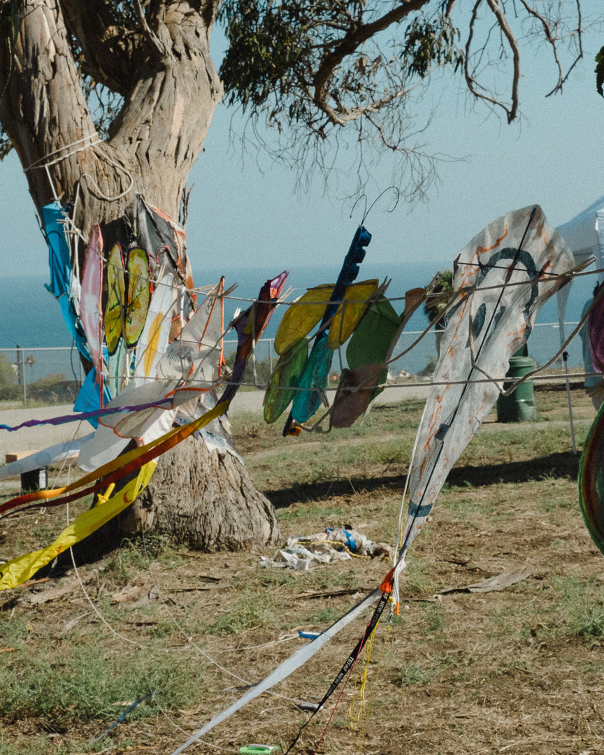 Kite Show