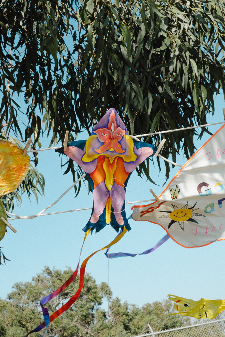 Kite Show