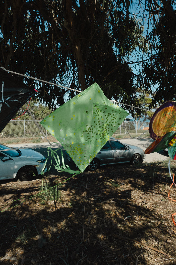 Kite Show