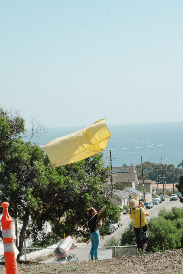 Kite Show