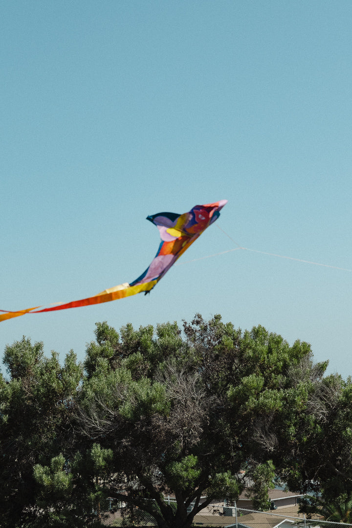 Kite Show