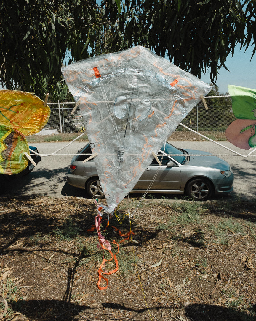 Kite Show