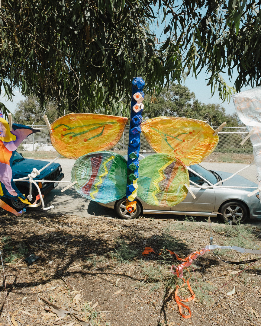 Kite Show
