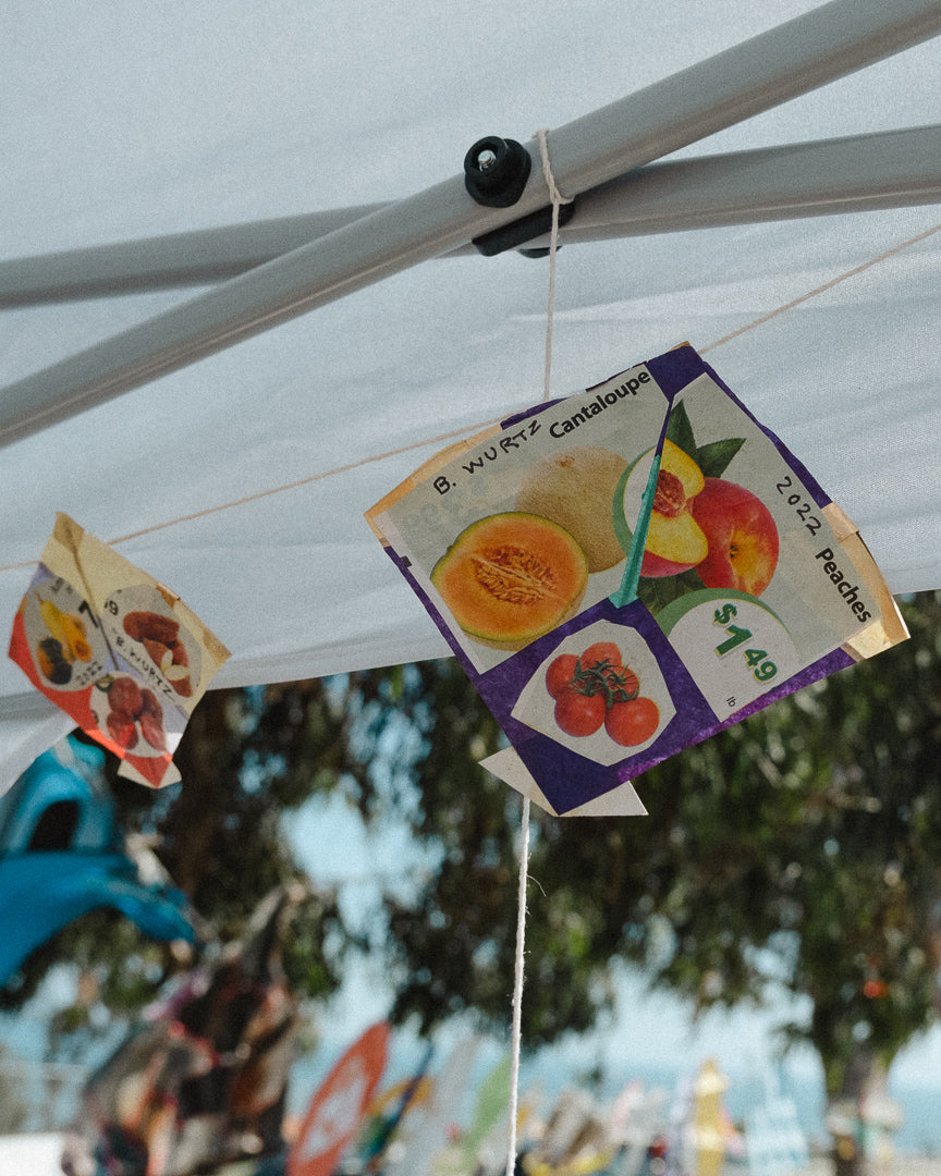 Kite Show
