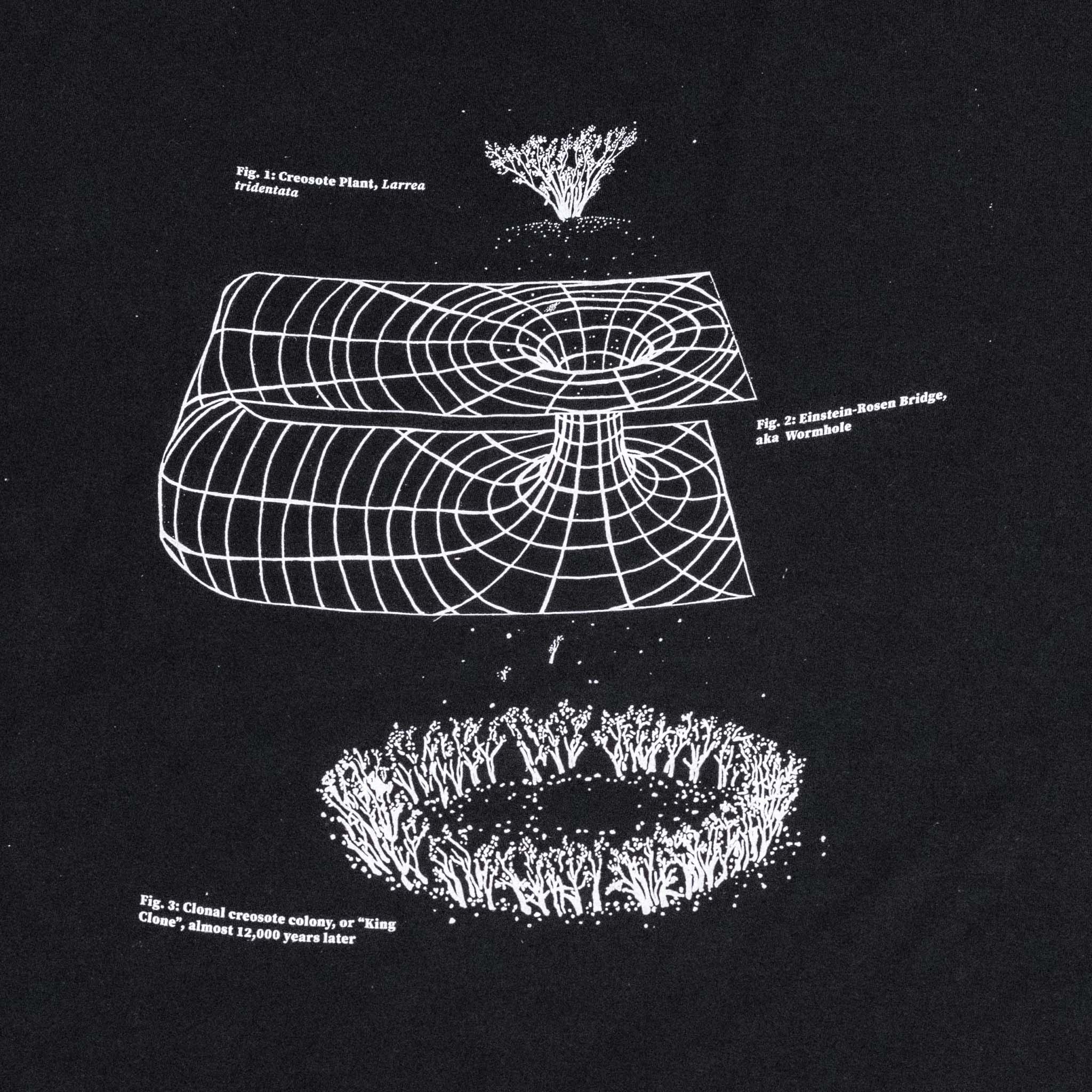 Makenzie Goodman Bookshirt