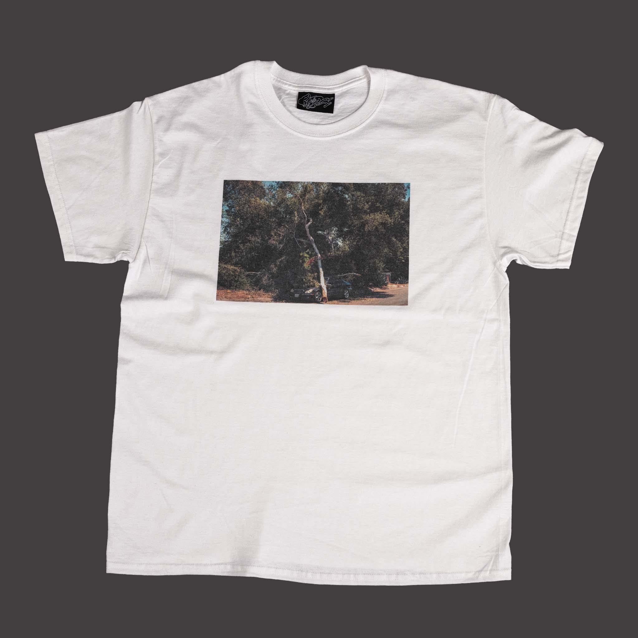 Michael Raines Bookshirt, page 2