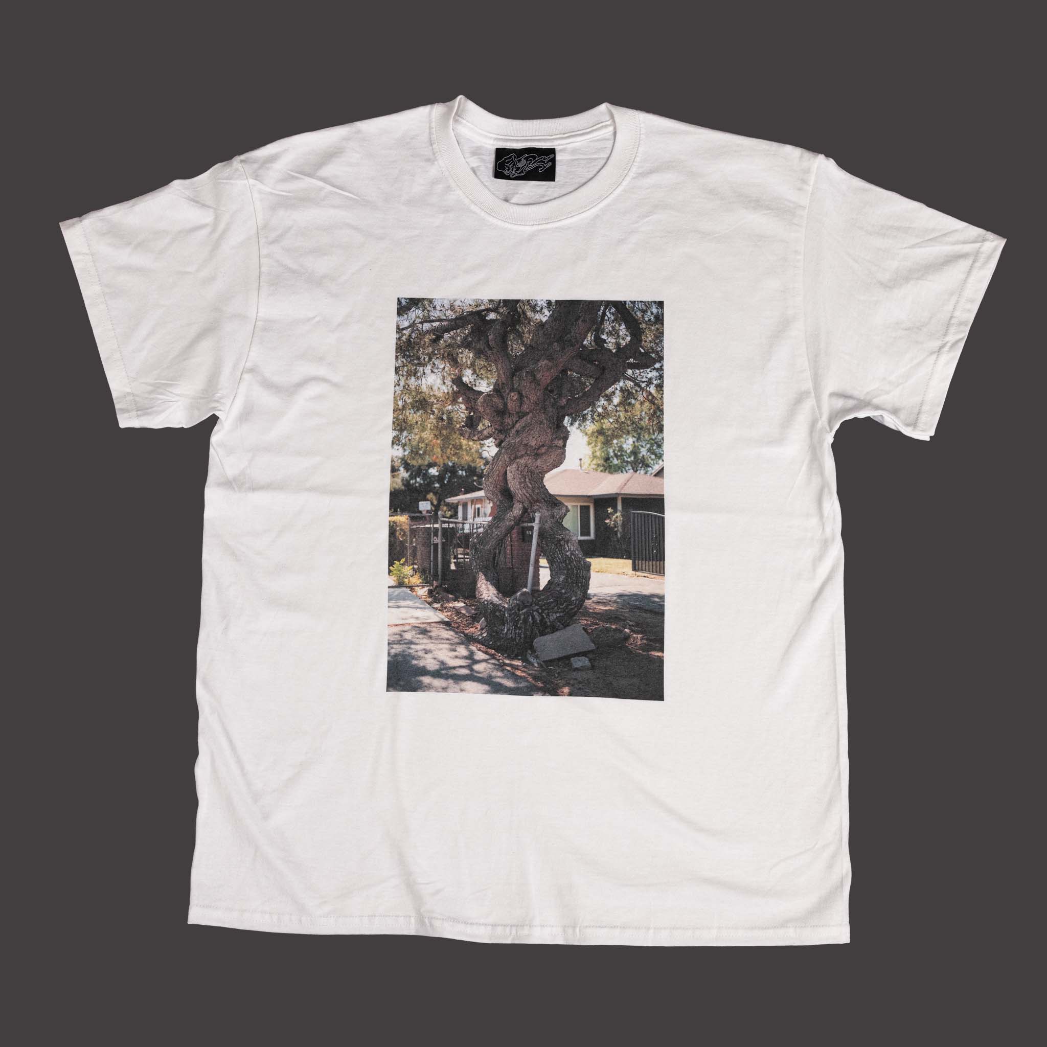 Michael Raines Bookshirt, page 1