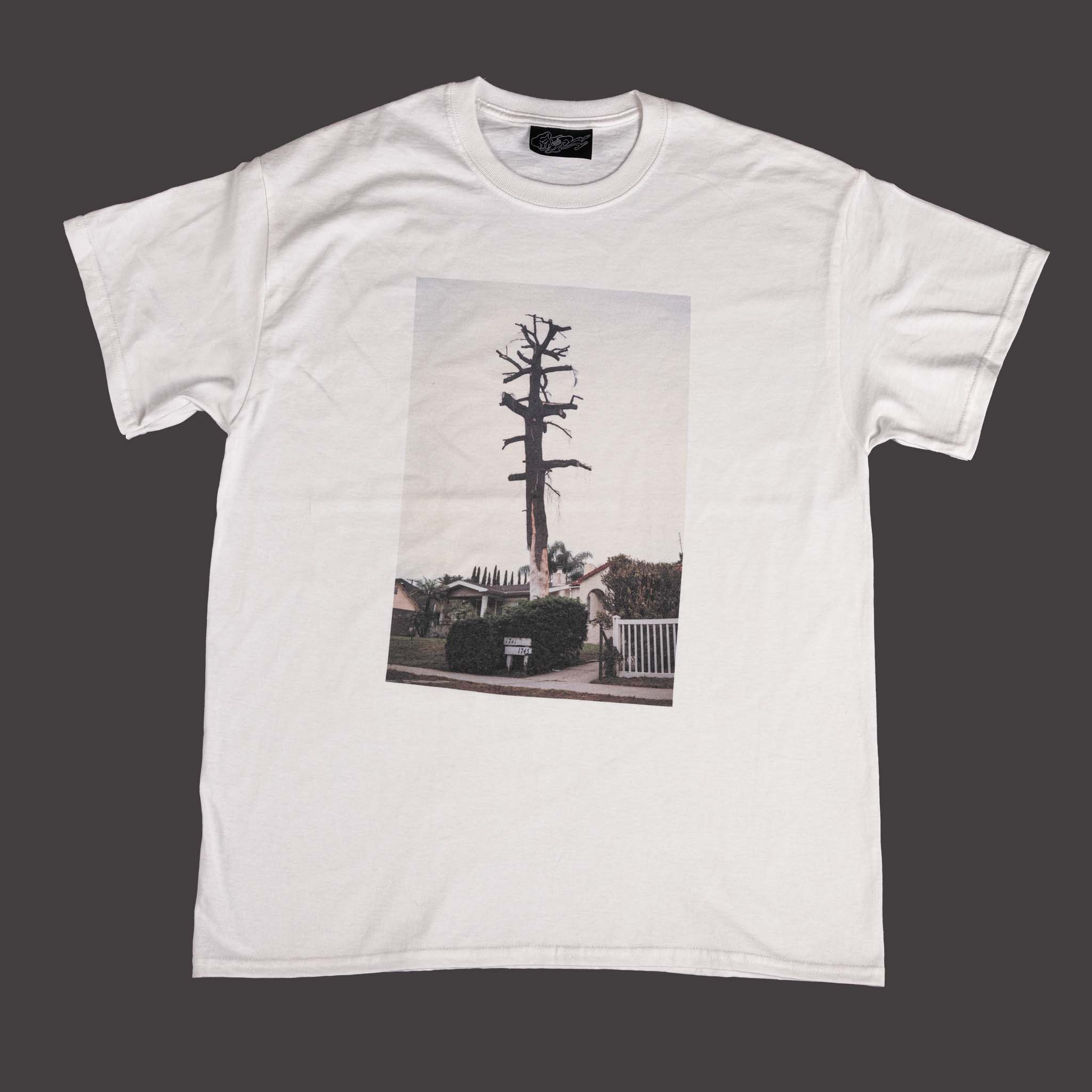 Michael Raines Bookshirt, page 3