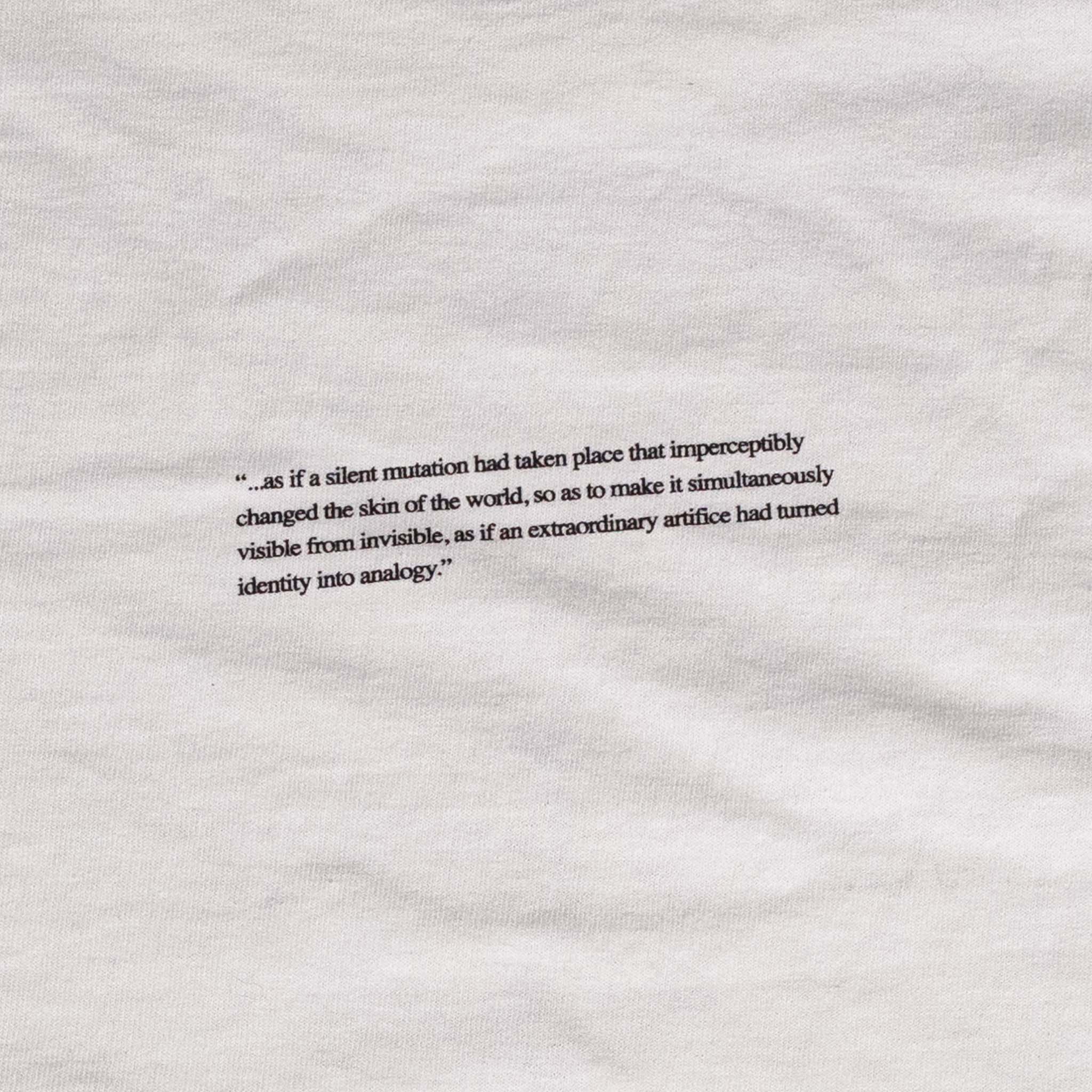Michael Raines Bookshirt, page 1